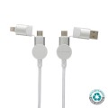 01b6cfc09ce12a2bea6da9784d34afab